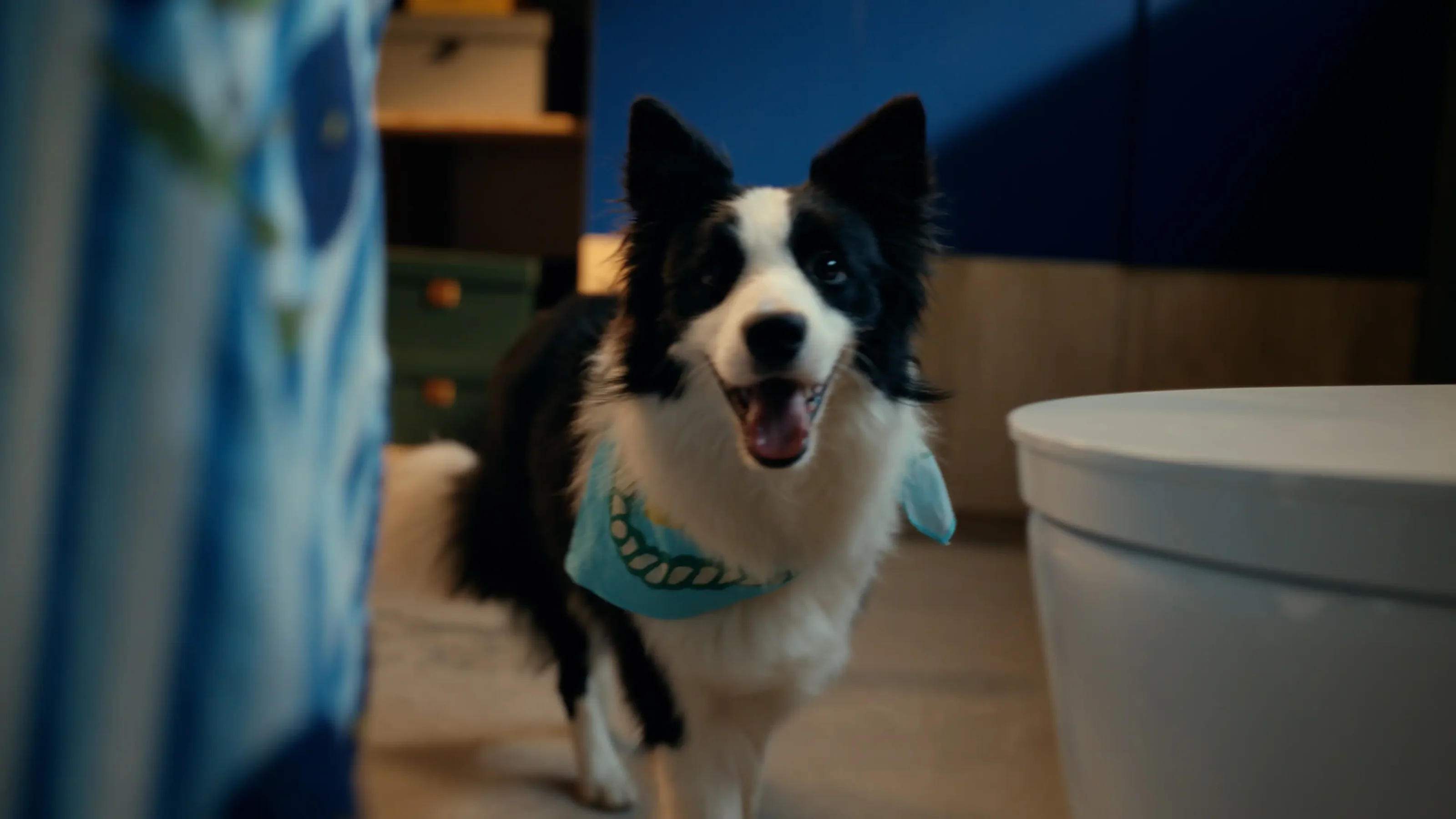 Elevate Your Home’s Modern Elegance