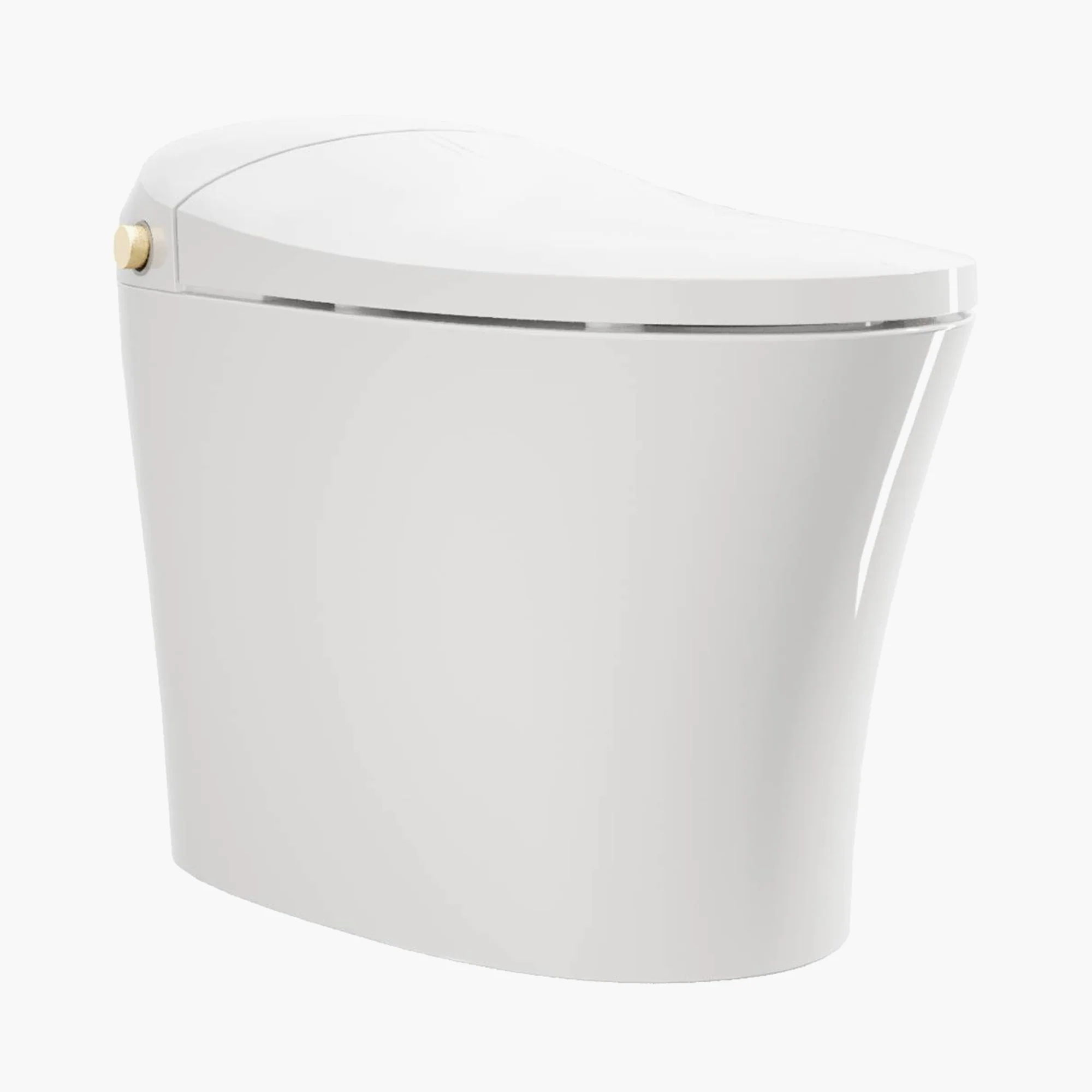 HOROW Best Bidet Toilet Automatic Flush Toilet Model T20 - Image 4