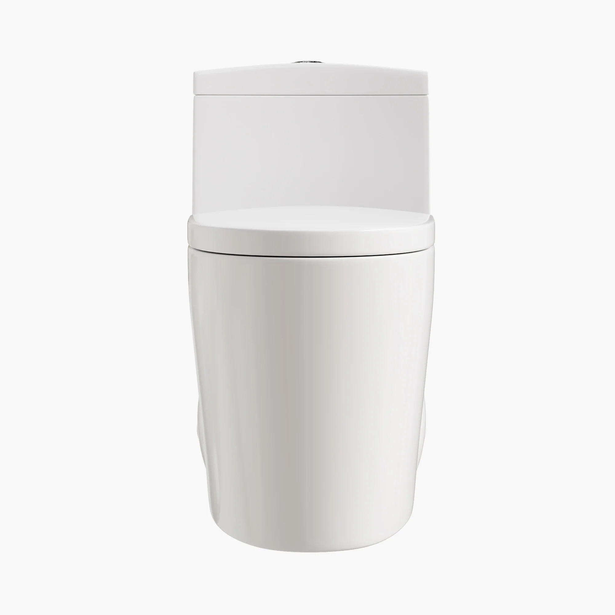 HOROW Compact Elongated Toilet One Piece Dual Flush 1.1 OR 1.6 GPF Toilet Model T0280W - Image 3